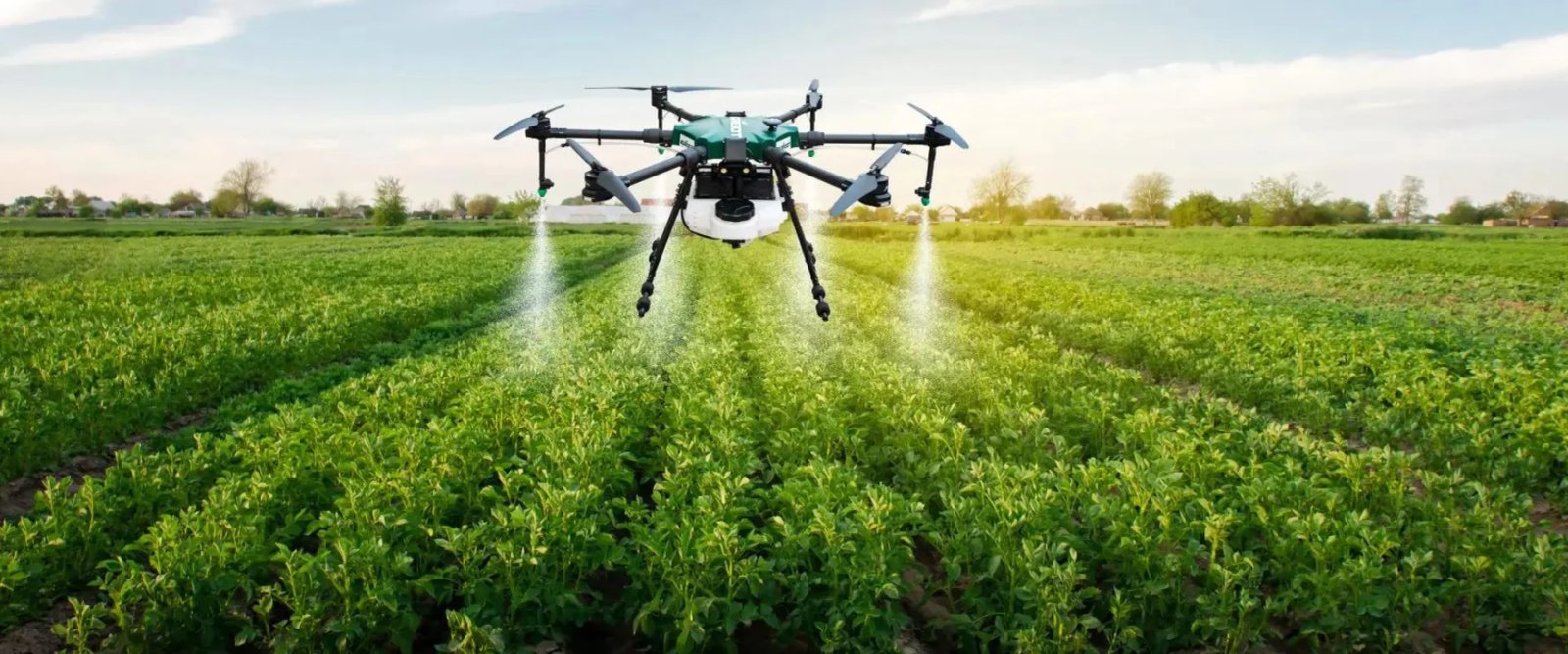 Agriculture
